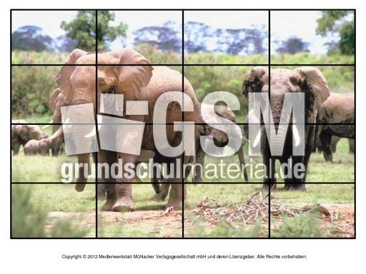 Puzzle-Elefanten-3.pdf